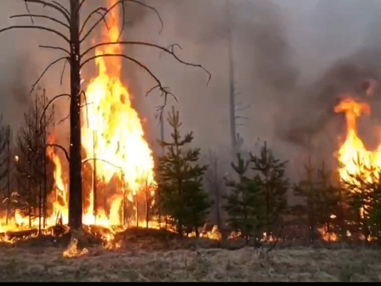 Авиалесохрана: лесной пожар не является причиной пожара на пороховых складах Свердловской области