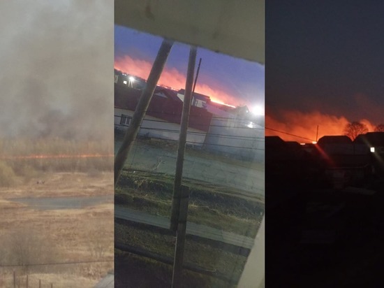«Погибнет всё живое»: жители томского посёлка рассказали о лесном пожаре