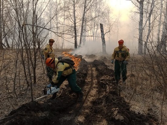 В Омской области в Крутинском районе продолжаются лесные пожары