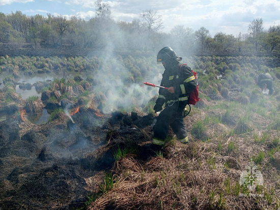 Крупный лесной пожар в Хабаровском районе потушили