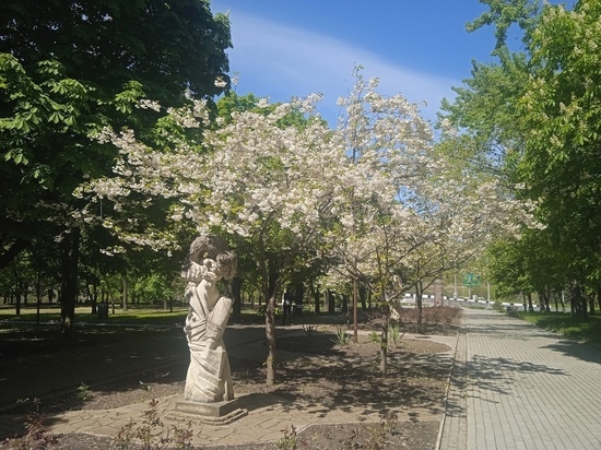 В ДНР перевыполнили план акции “Сад памяти”