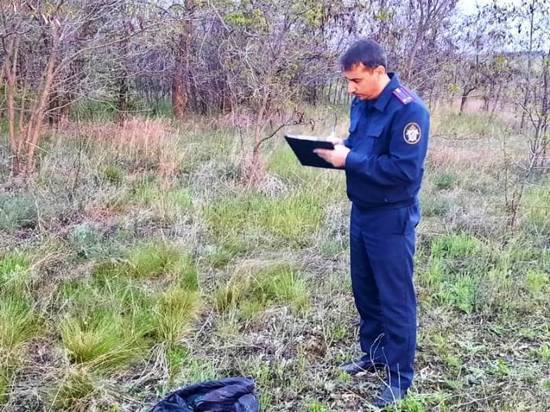 Тракторист в Красноармейском районе нашёл человеческие кости