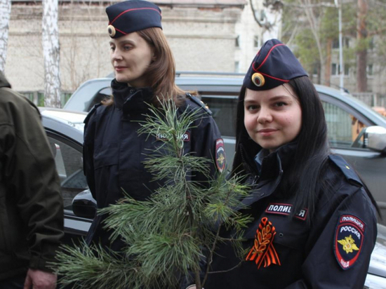 В Северске трудные подростки с полицейскими высадили «Аллею Памяти»