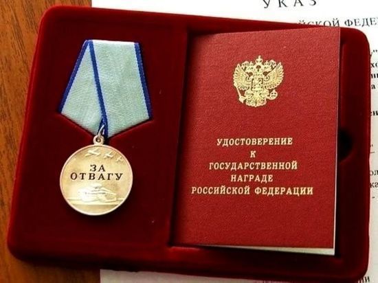 Под Новосибирском двух бойцов СВО наградили медалями «За отвагу»