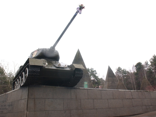 В преддверии 9 Мая в Подмосковье проверили состояние памятников