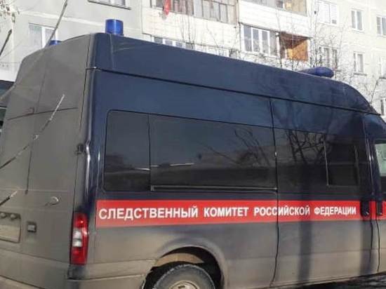Глава СК РФ Бастрыкин вмешался в инцидент с упавшим на детей деревом в Обнинске