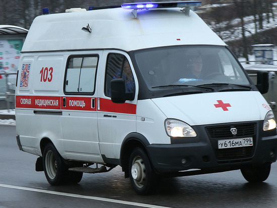 Shot: бомбу, взорвавшуюся в руках жителя Подмосковья, сделал сам пострадавший