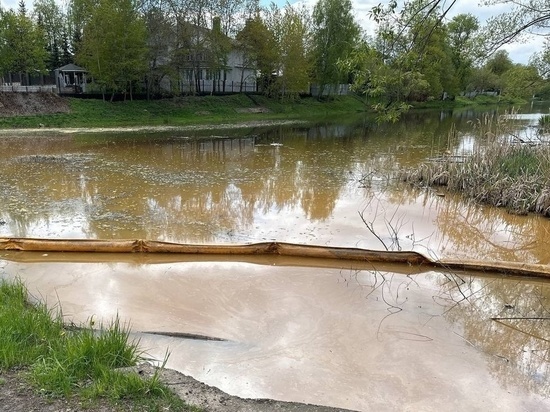 Жители просят спасти Большой Немчиновский пруд в Одинцово