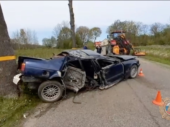 В Багратионовске пьяный водитель BMW врезался в придорожное дерево