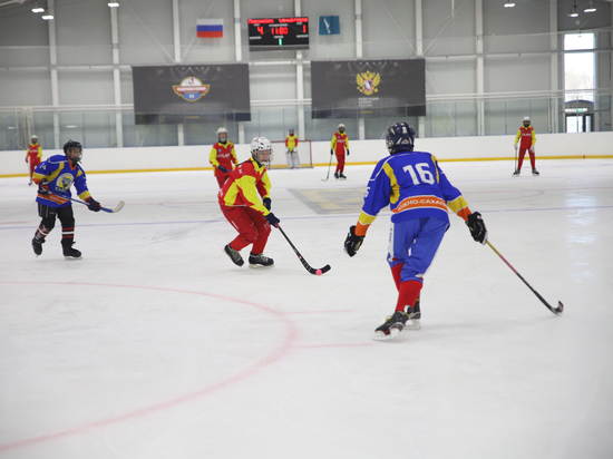 Чемпионат по хоккею с мячом в честь Дня Победы прошел на Сахалине