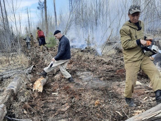 В Приангарье за сутки потушили 10 лесных пожаров