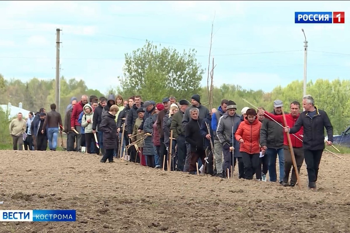 Костромские наделы: 150 семей получат участки бесплатной земли под огороды