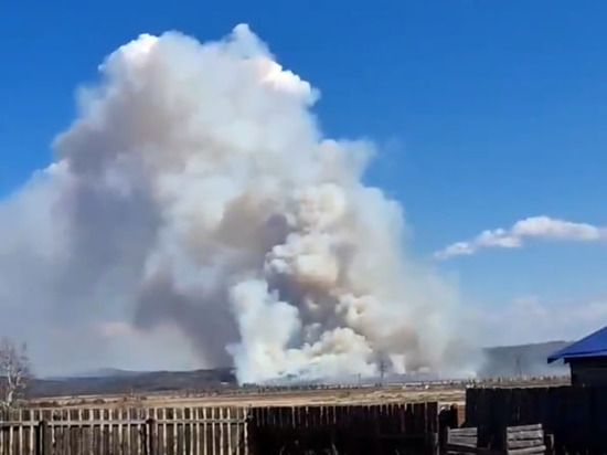Сильный лесной пожар произошёл возле посёлка Могзон в Забайкалье