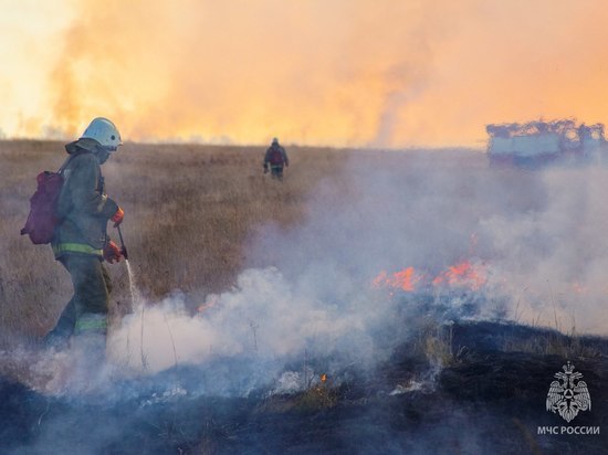 Жителей Алтайского края попросили не разводить костры
