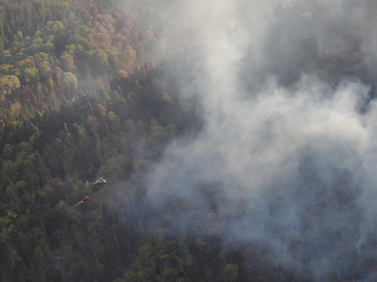 Площадь лесных пожаров в Свердловской области достигла 54,1 тыс. га