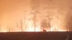 Сильные лесные пожары бушуют в Курганской области: кадры огненного ада