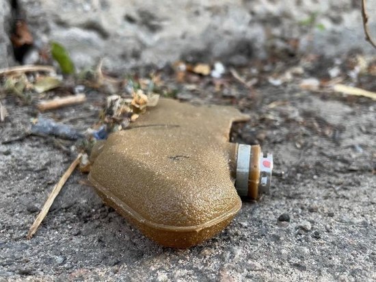 Житель Донецка подорвался на мине-лепестке