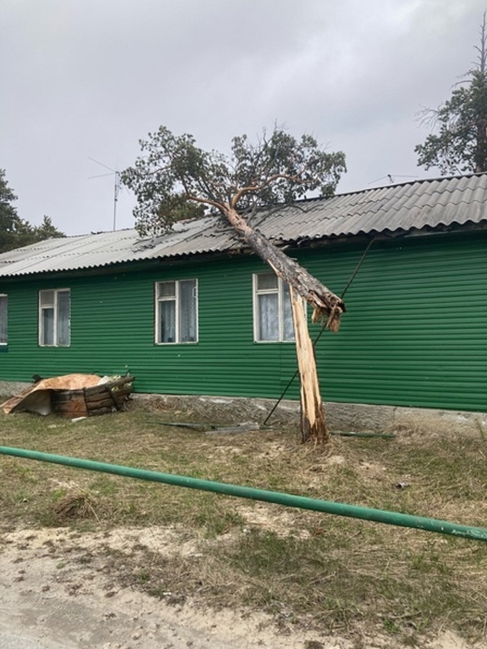Срывает крыши, ломает деревья, разворачивает остановки и угоняет прицепы: на Ямале бушует майский ураганный ветер