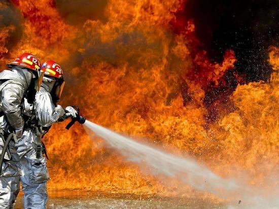 В Омской области введен режим ЧС из-за природных пожаров
