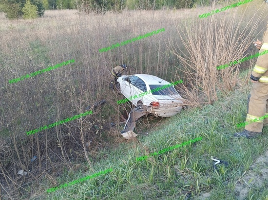 Четыре человека пострадали в ДТП со Skoda и Volkswagen в Клепиковском районе