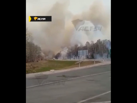 Под Новосибирском лесные пожары приблизились к населенным пунктам