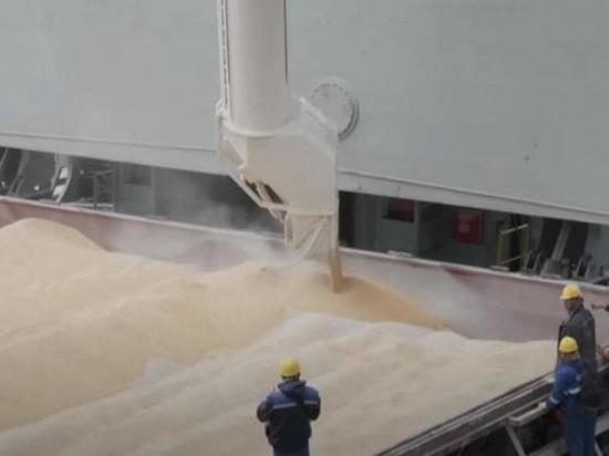 UN: No fertilizer exports under grain deal