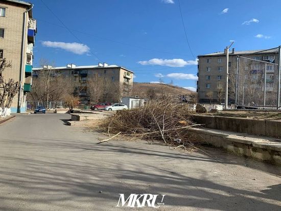 Спиленные ветки деревьев не убрали за полмесяца во дворе на Онискевича в Чите