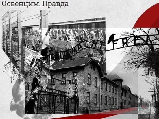Жители Орловской области могут посмотреть онлайн-экспозицию музея Победы «Освенцим. Правда»