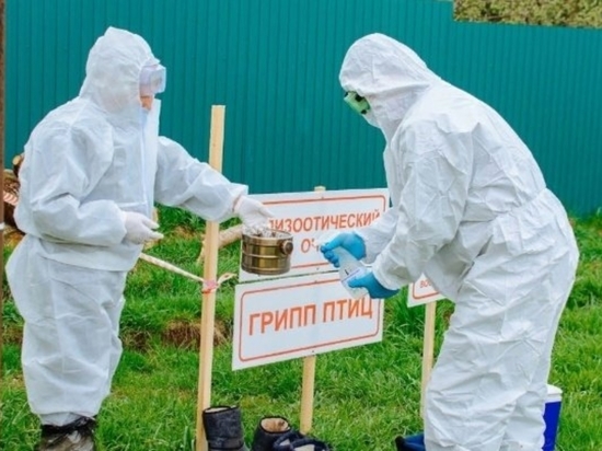 В Ижевске и Глазове проверили около 600 человек на заболевание птичьим гриппом