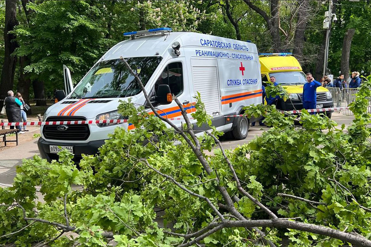 Упало дерево в парке