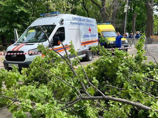 По факту гибели людей в горпарке Саратова возбуждено уголовное дело