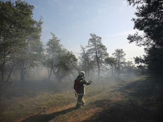 В Волгоградской области предостережение о высокой пожароопасности продлили