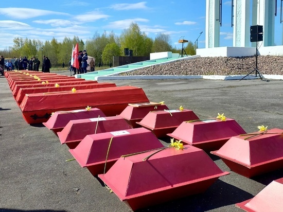 В Новгородской области в преддверии Дня Победы захоронили останки 585 красноармейцев