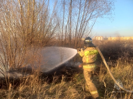 В трех районах Омской области объявили чрезвычайную пожарную опасность