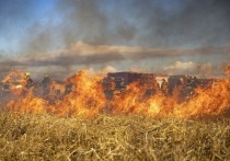 В Томске продолжает действовать оперативное предупреждение в связи с высоким уровнем пожароопасности