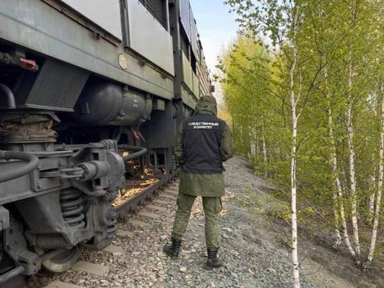 На Южном Урале поезд сошёл с рельсов
