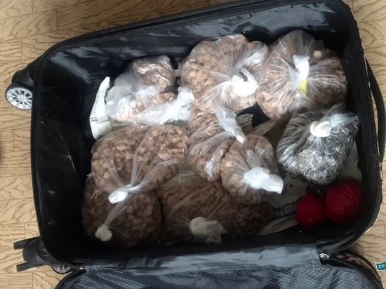 Двух подмосковных жителей задержали по подозрению в сбыте героина в крупном размере