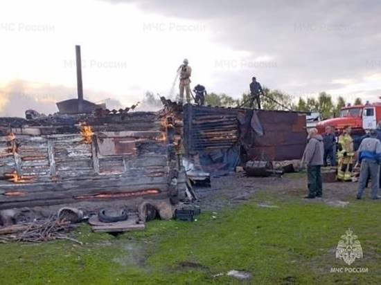 Печь в бане стала причиной крупного пожара в Орловской области
