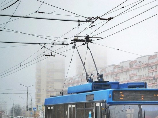 На левом берегу Воронежа на полтора месяца приостановят движение троллейбуса № 11