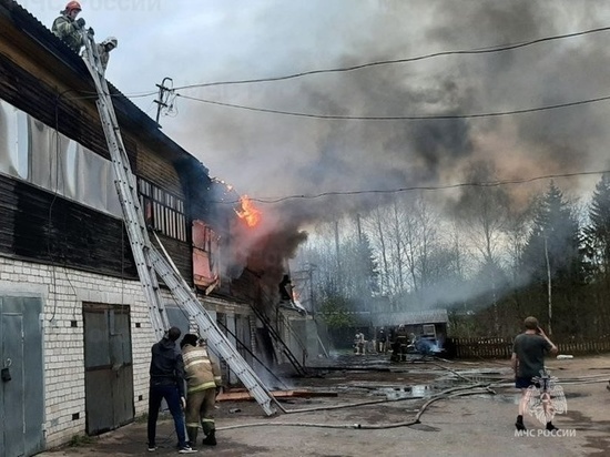 Детская шалость могла стать причиной крупного пожара в хозпостройках Вельска
