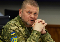 Главком вооруженных сил Украины отказался от участия в заседании начальников штабов Военного комитета НАТО, которое проводится в виде видеоконференции
