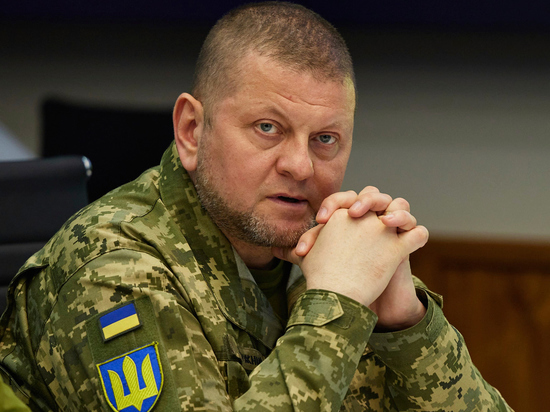Суконкин назвал версию отказа Залужного участвовать в заседании штабов НАТО
