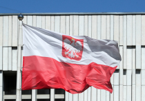 Министерство иностранных дел Польши вручило ноту послу России Сергею Андрееву из-за инцидента с самолетом погранстражи Польши
