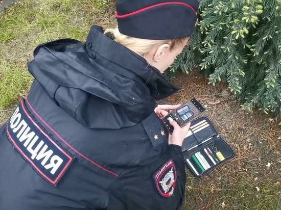 В Новороссийске росгвардейцы нашли портмоне, утерянное мужчиной в парке