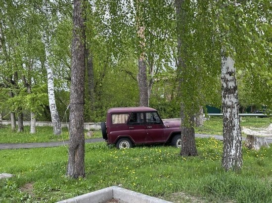 В Подмосковье собрали 5,6 млн рублей штрафов за неправильную парковку