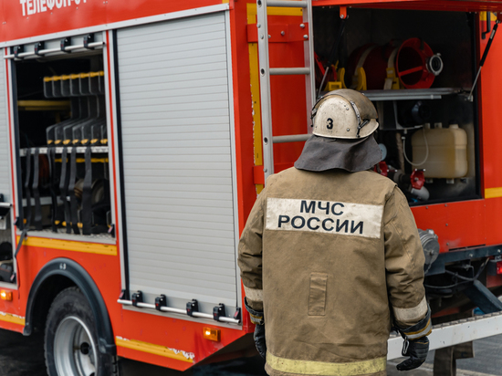 На пожаре в Сараевском районе погибла 58-летняя женщина