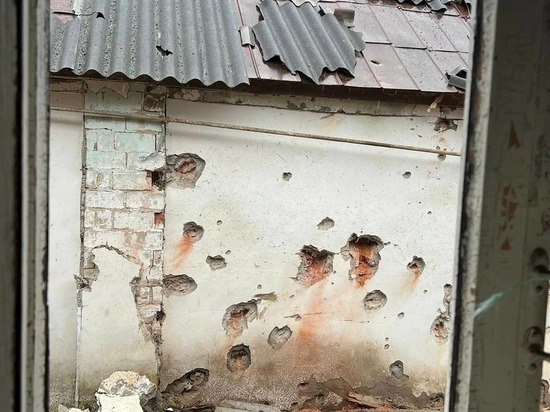 Белгородка рассказала губернатору о неразорвавшемся снаряде в огороде поселка Красное