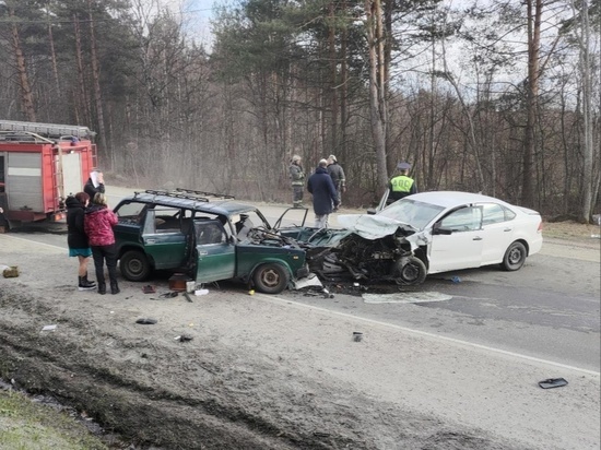 ДТП со смертельным исходом произошло в Медвежьегорском районе Карелии