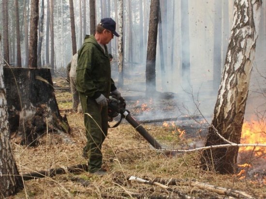  11 лесных пожаров ликвидировали в Приангарье
