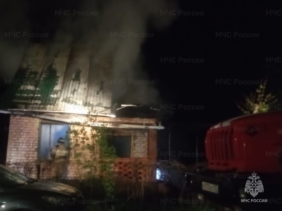 В Орловском МО в дачном домике сгорели два человека